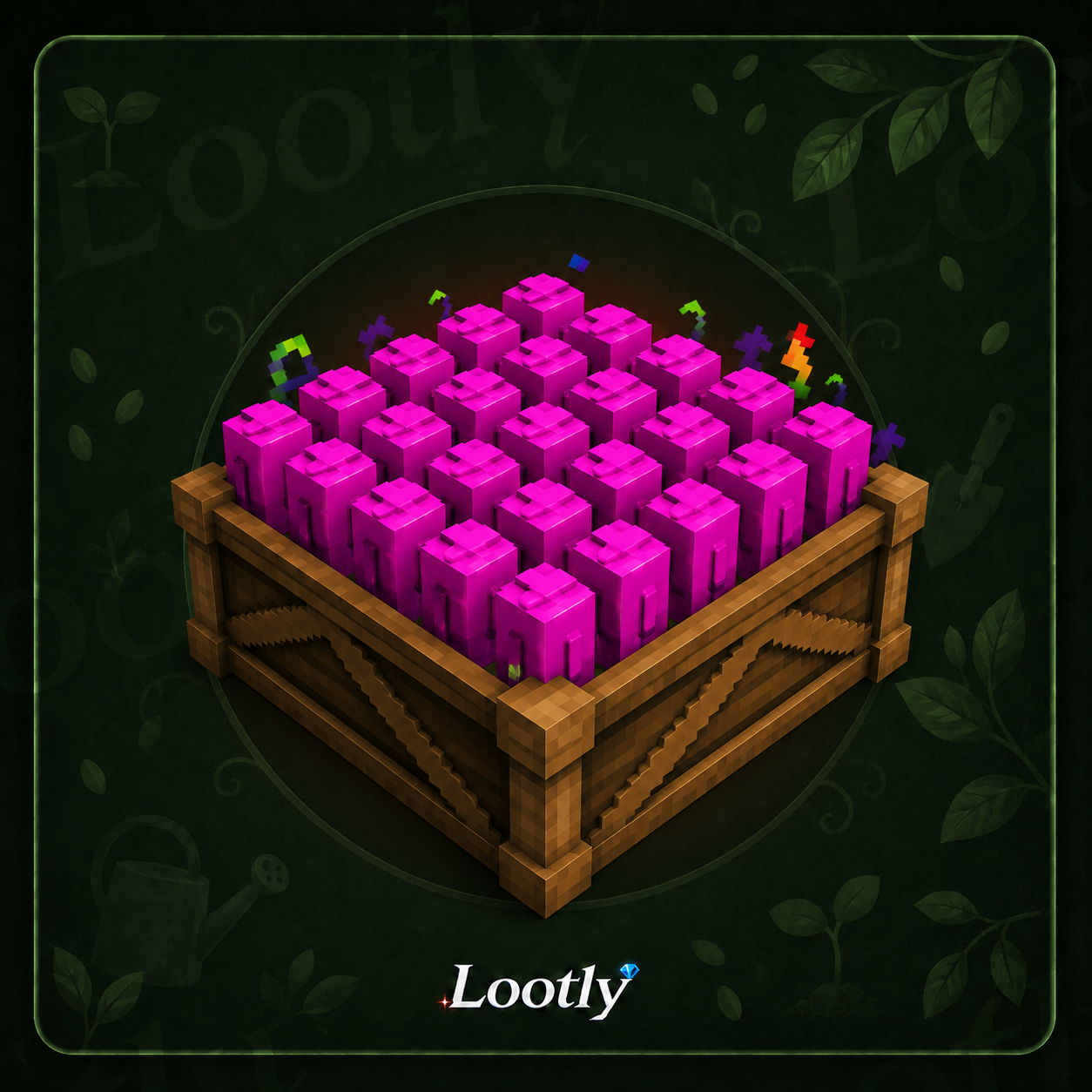 25x Rainbow Seeds