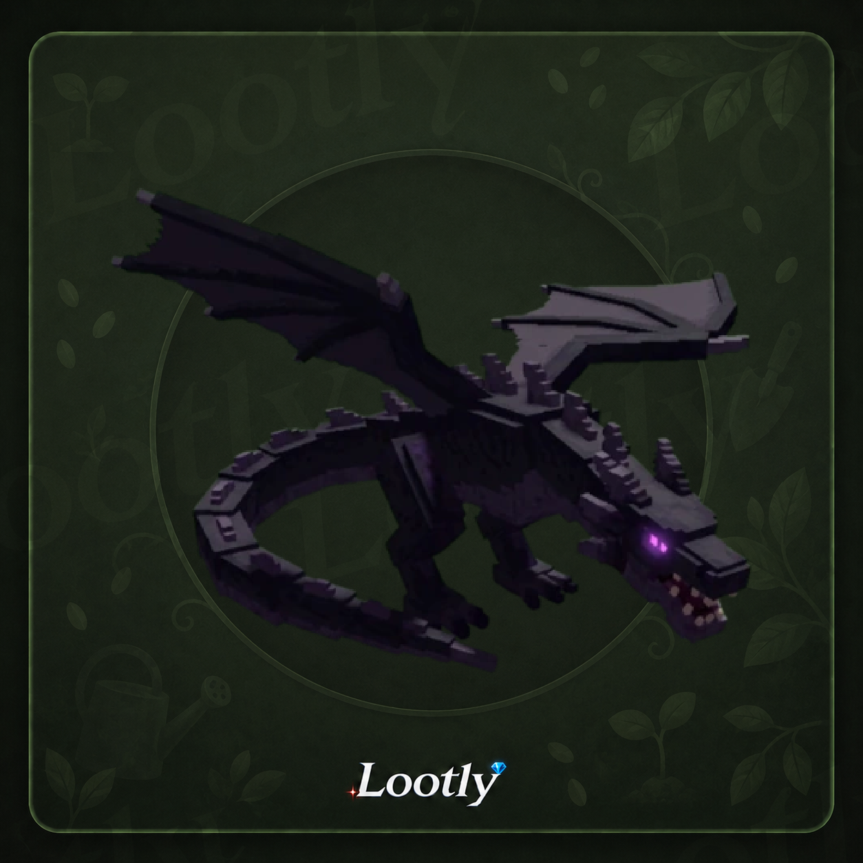 Black Dragon