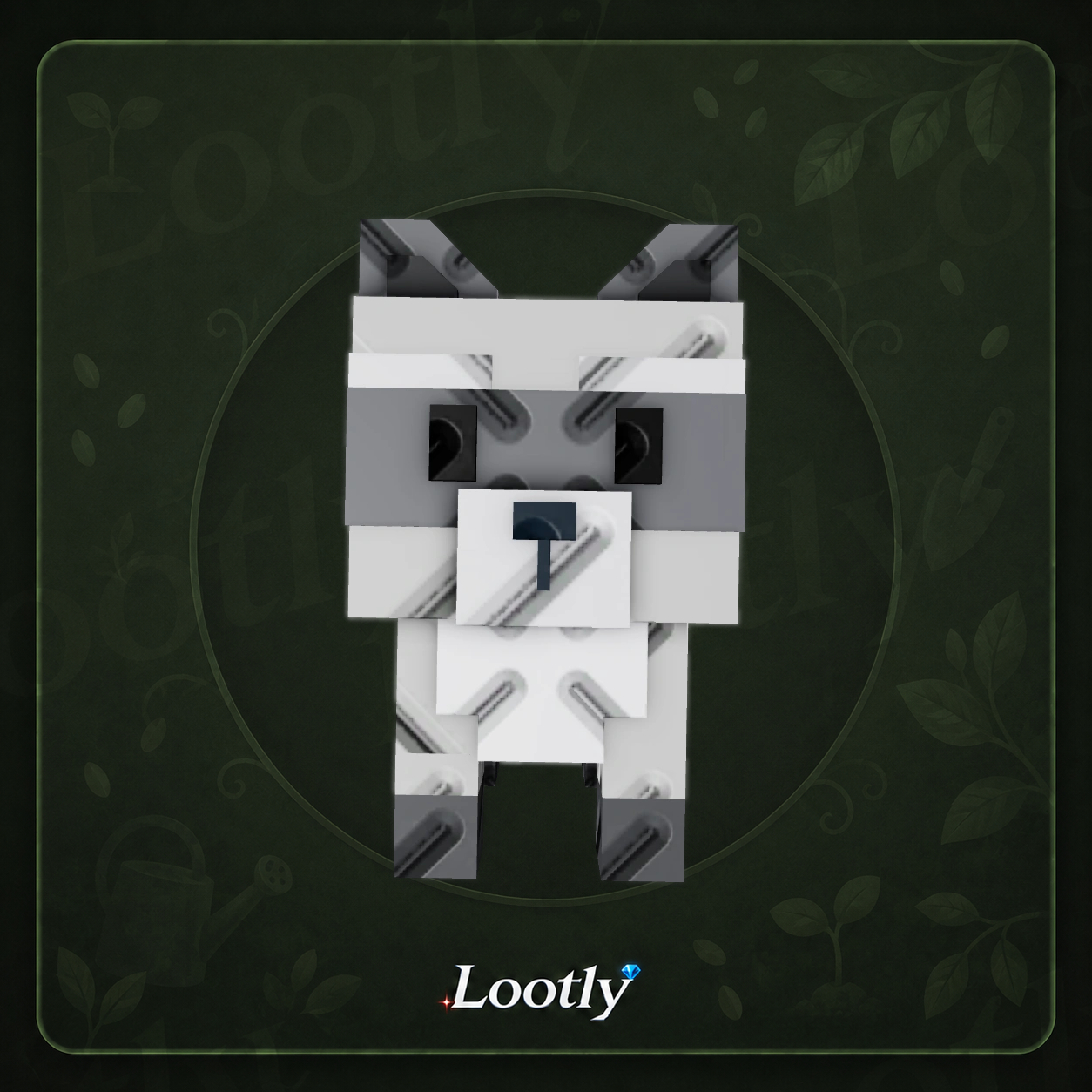 Raccoon